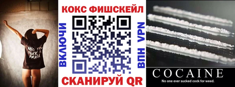 Cocaine FishScale продажа наркотиков Мариинский Посад