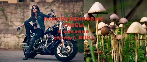 дмт Балахна