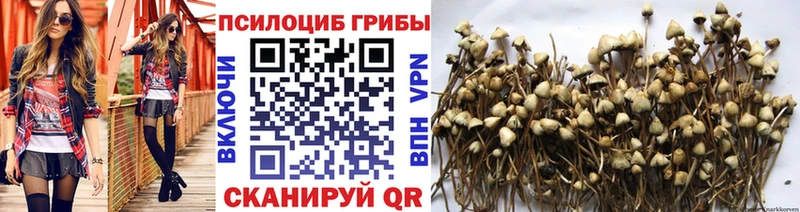 Галлюциногенные грибы ЛСД  MEGA как зайти  мориарти как зайти  Мариинский Посад 
